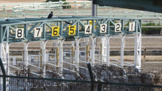 AI指数観察ログ