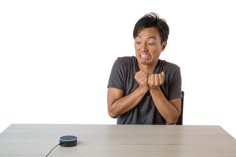 スマートスピーカーに驚く様子